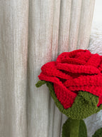 Giant rose
