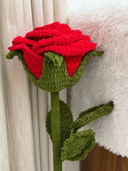 Giant rose